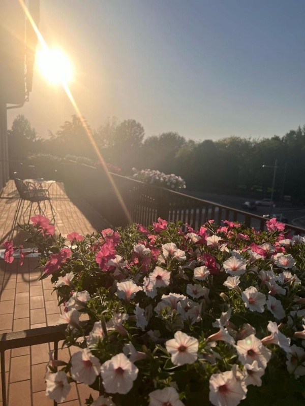 Hotel Dorè image 21